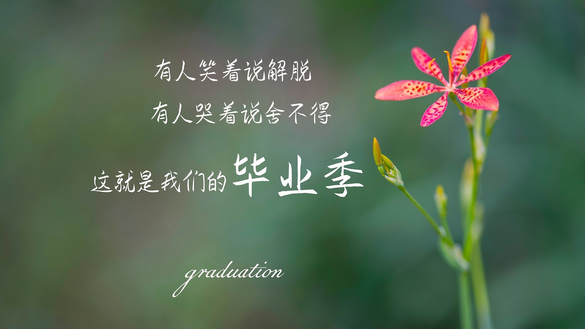 斯旺西客场击败对手，保级形势逐渐好转，斯旺西vs斯托克城录像