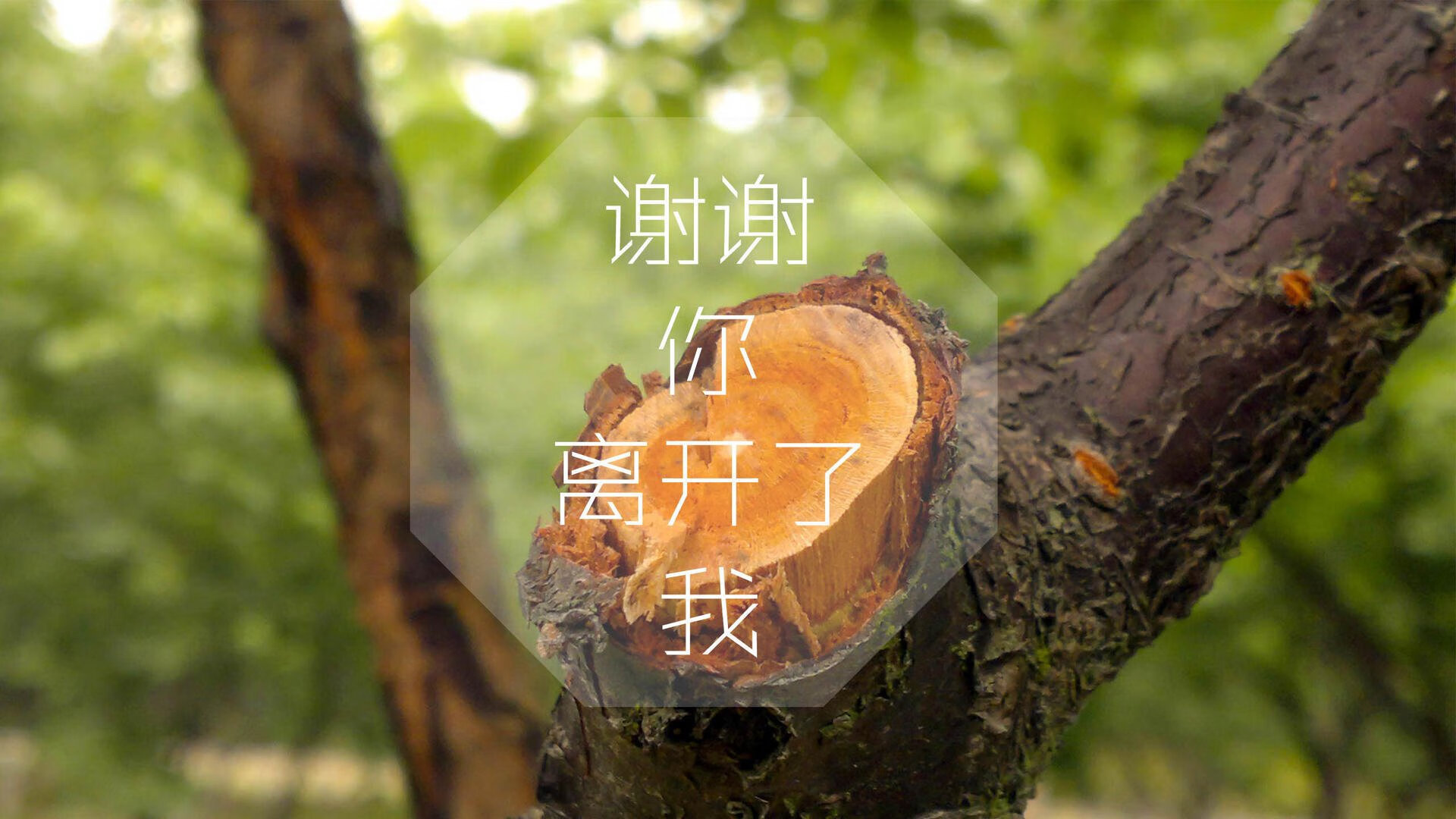 开云入口-残酷热浪考验尤文体能调度策略，尤文训练